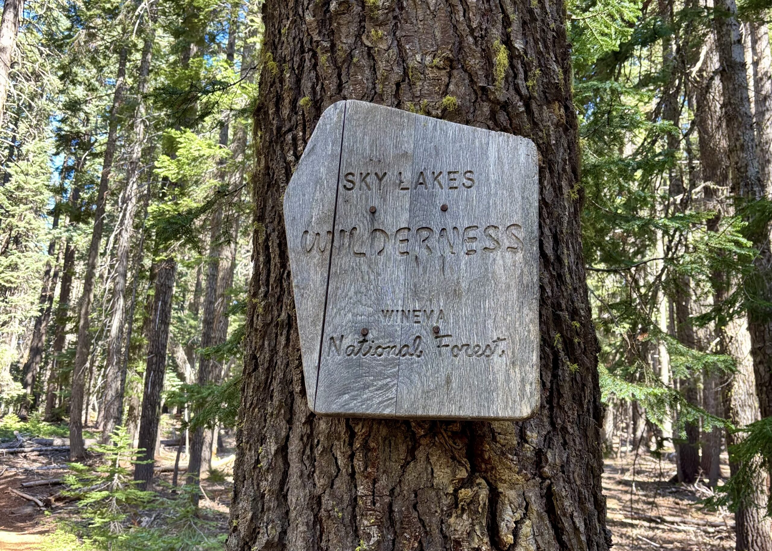 Oregon PCT Day 13: Sky Lakes Wilderness - Outdoor Pilgrim